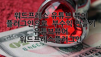 워드프레스 유튜브 뷰어 플러그인으로 💰 부수익 만들기! #유튜브뷰어 #워드프레스플러그인