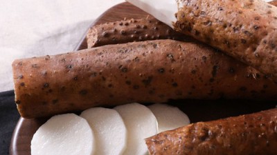 놓치면 후회! 마사토안동마장마 리얼 후기 & 꿀팁 대방출 🐴✨
