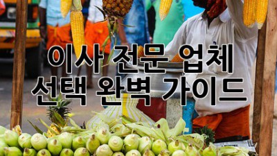 이사 전문 업체 선택 완벽 가이드