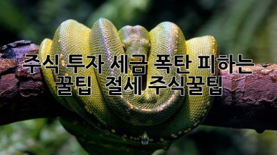 🚨 주식 투자, 세금 폭탄 피하는 꿀팁! 💰 #절세 #주식꿀팁